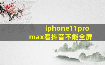 iphone11pro max看抖音不能全屏